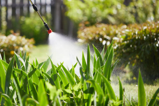 Tamper-Resistant Bait Stations for Rodents in Maxton