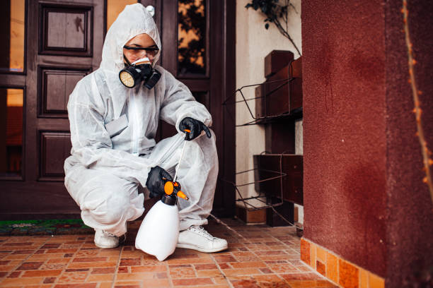 Attic and Crawl Space Rodent Treatment in Maxton