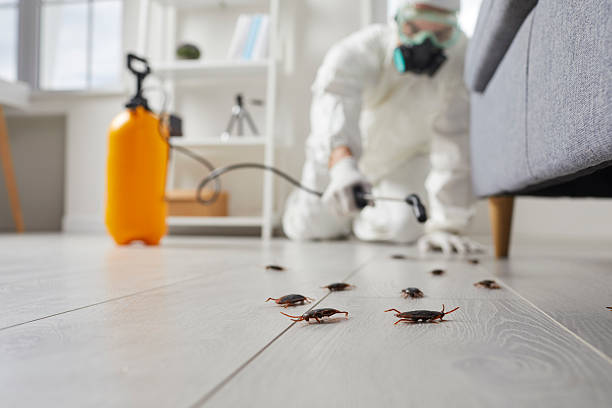 Commercial Rodent Management in Maxton